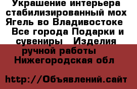 Украшение интерьера стабилизированный мох Ягель во Владивостоке - Все города Подарки и сувениры » Изделия ручной работы   . Нижегородская обл.